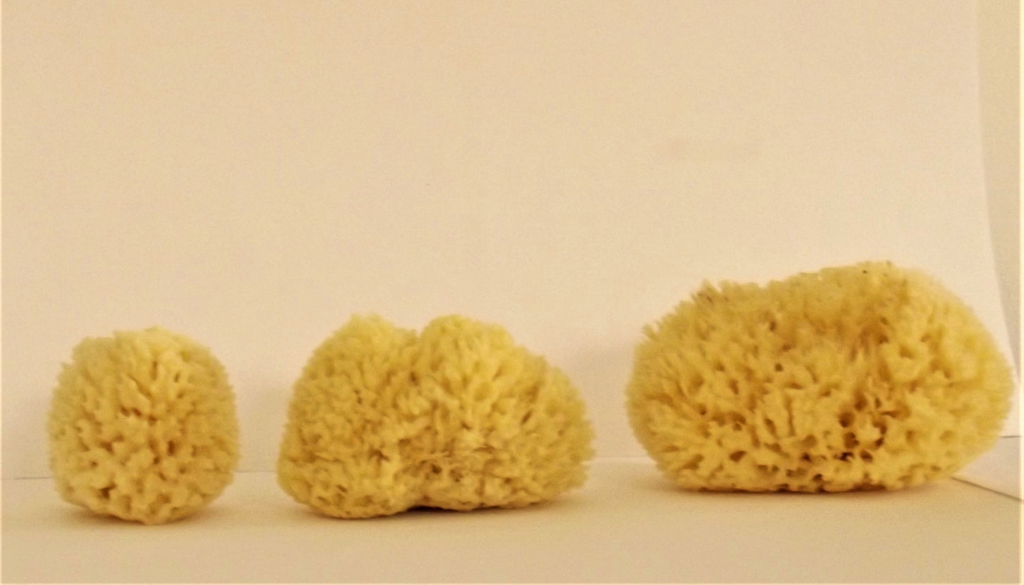 100% Natural Honeycomb Sponge from Greek Seas and Mediterranean, Yellow Colour