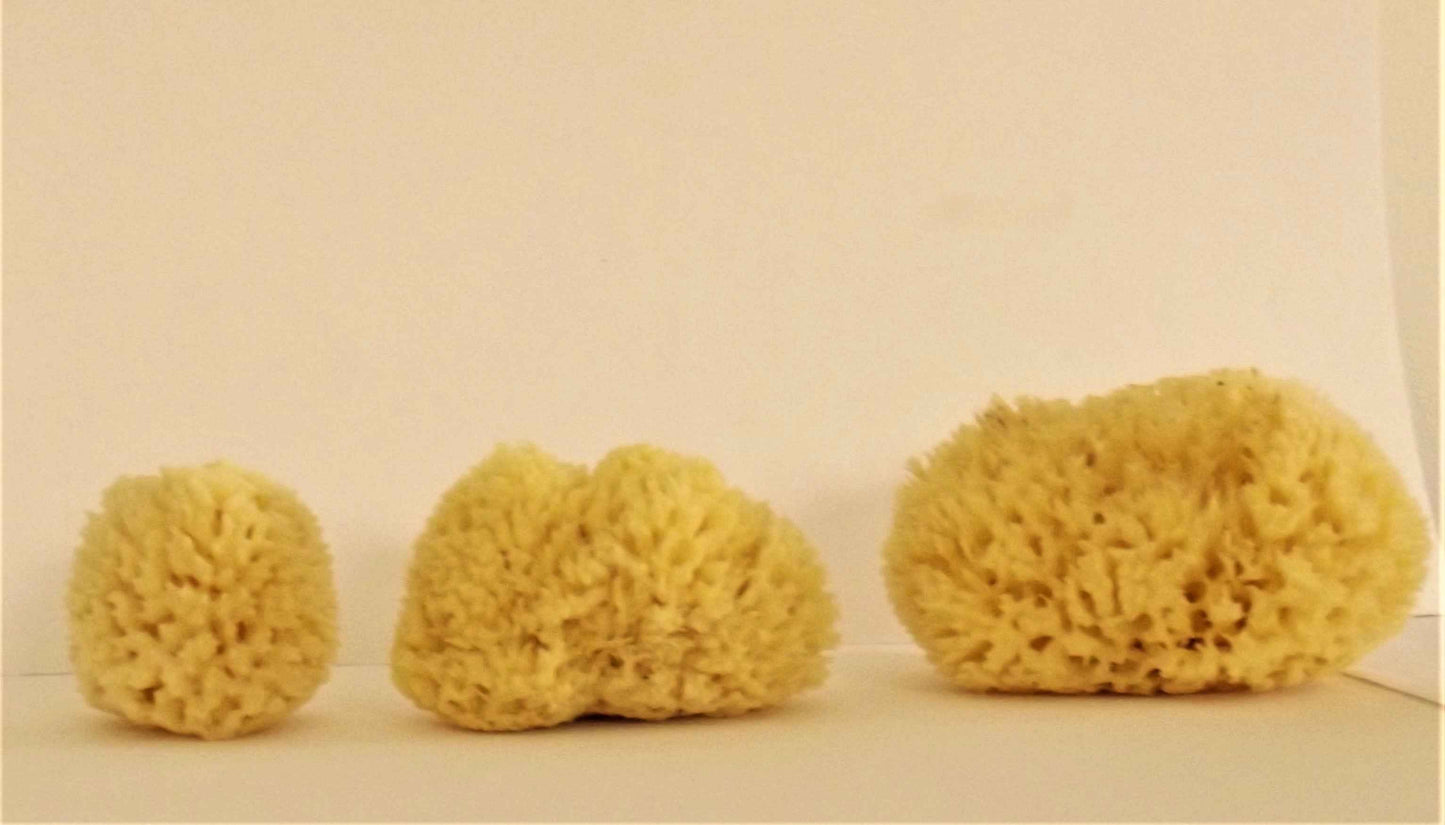 100% Natural Honeycomb Sea Sponge – Yellow