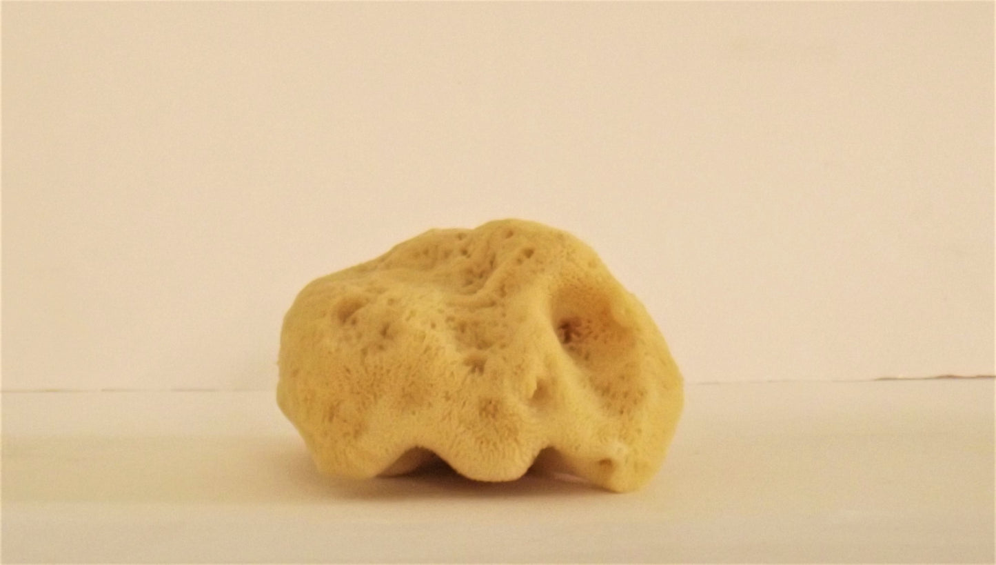100% Natural Fine Silk Sponge from Greek Seas, Yellow Colour