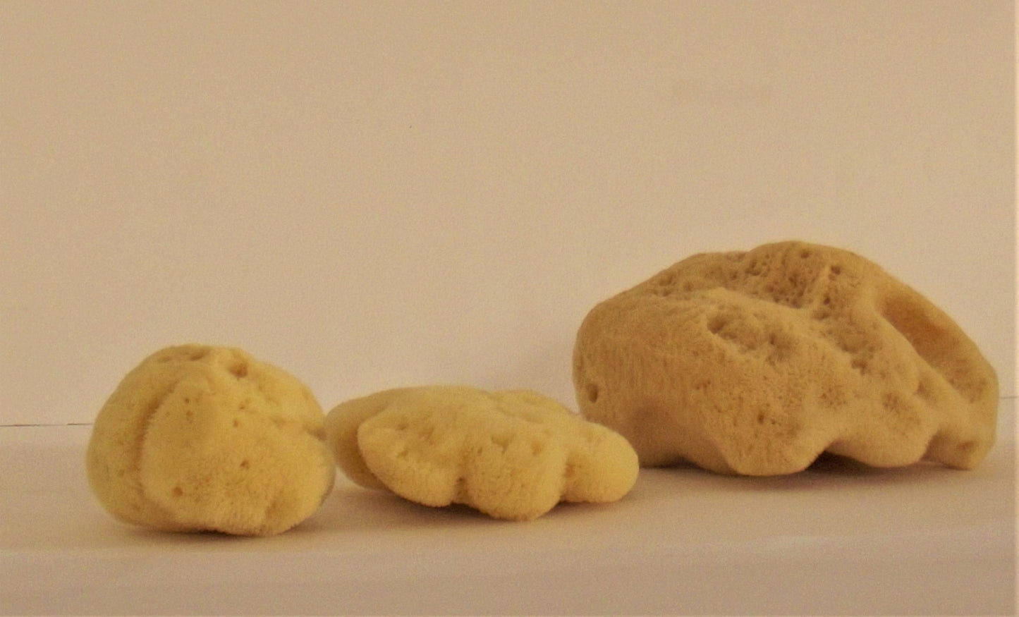 100% Natural Fine Silk Sponge from Greek Seas, Yellow Colour