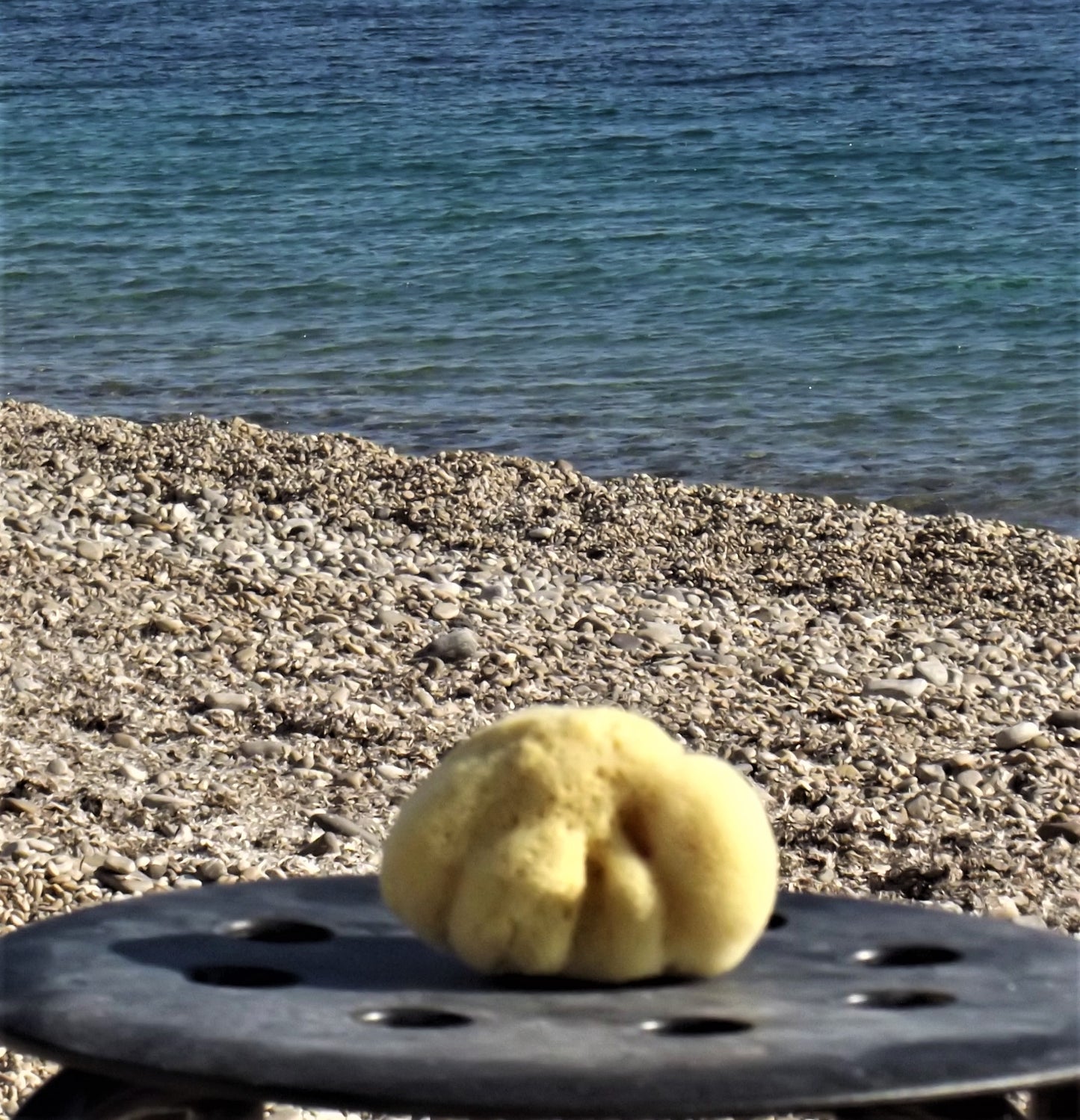 100% Natural Fine Silk Sponge from Greek Seas, Yellow Colour