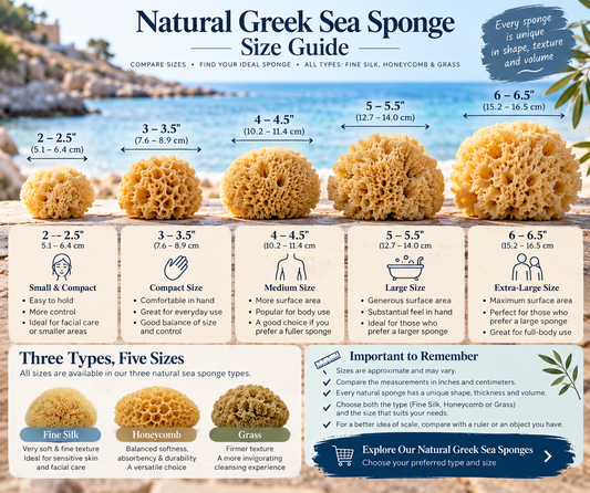 Natural Sea Sponge Size Guide: How to Choose the Right Size
