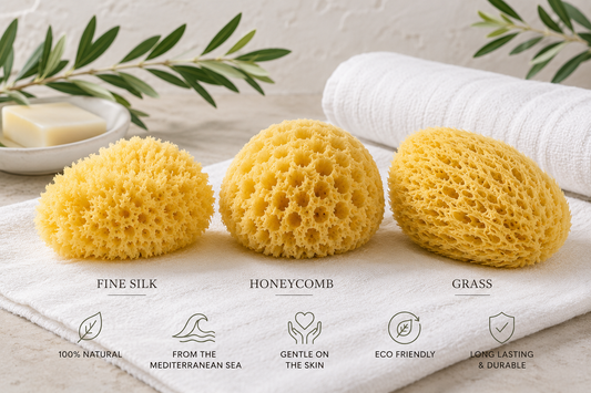 Greek Sea Sponge Guide: Fine Silk vs Honeycomb vs Grass – Which One Is Right for You?